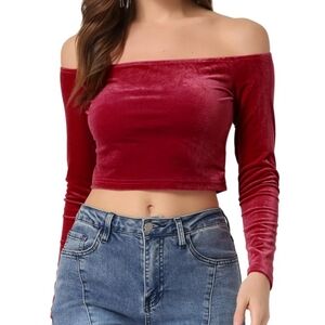 Allegra K Women's Velvet Top Off Shoulder Casual Solid Blouse Long Sleeve Crop